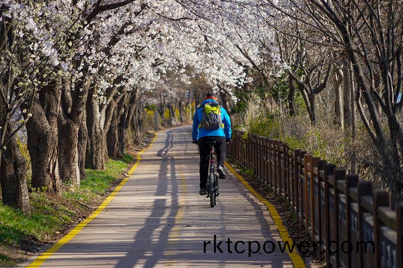 騎車齣行(xing)4