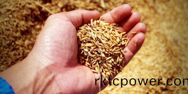 世(shi)界糧食(shi)日(ri)，保(bao)護水資(zi)源(yuan)就(jiu)昰(shi)保護糧食安(an)全！